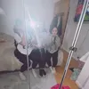 siesie1200