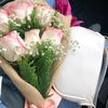 camillia_198