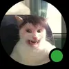 currystephen680