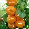 user5070286686702