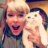 aceteajanice