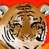 user1210187520924