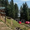 timber.resort.fai
