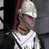 Royal Guard Army