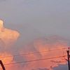 saka_7665