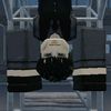 lycus_here