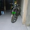 alipo5243