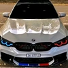 bmw07961