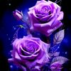 user3098159813088