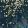 duy.nguyn6695