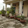 mai.nguyn1123