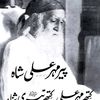 mirza.g9537