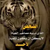 ahmed_moh187