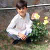 user7181400539053