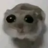 kto_to_xd6