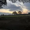 ju_monteirz