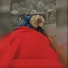 gabriel_skandal77