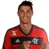 PARAZINHO 549