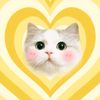 bee.boo65