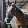 sarabshcublue
