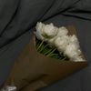 maryam.ghassan7