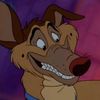 davethebunnygator