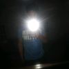 cachorro100299