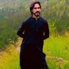 dildar.tanoli7