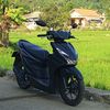 stria932