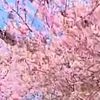 crystalium1