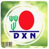 dxn_produit