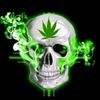 dreado_592
