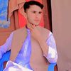 sardarking593