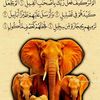 user924944047118