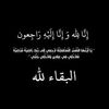 user8141739709770