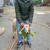viorel.viorel197