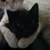 lilianpro_15