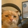 meme033808