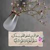 abeer.alsaw