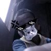 _ykzmalaria1