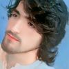 dardi_asq1