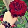 user78110992066271