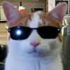 elgatowatondelciber