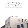 kashifkambo21