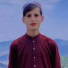mojaidshah4