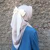 saa_nafly