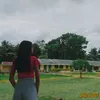 hnh_jnh