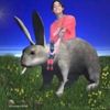 el_angel_sa