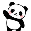 panda88123