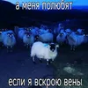 2503_2030s